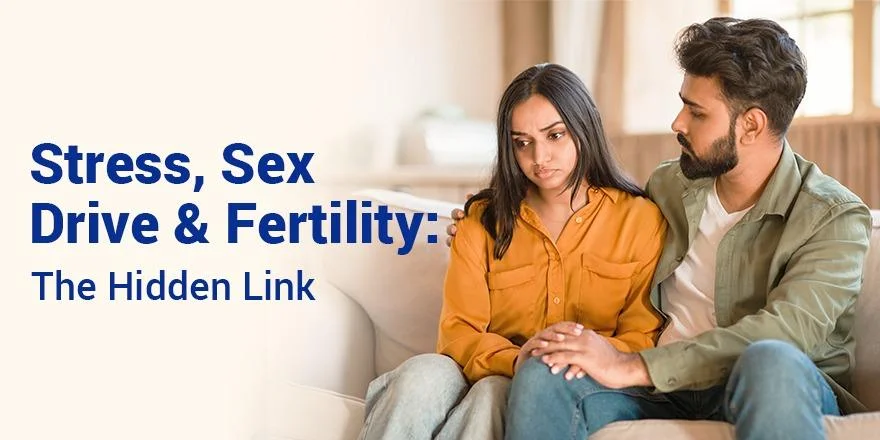 Stress, Sex Drive & Fertility: The Hidden Link You Shouldn’t Ignore